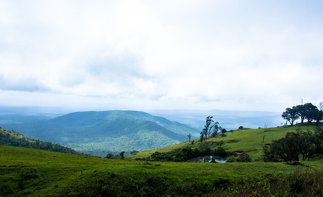 但巴薩通過 但巴薩通過