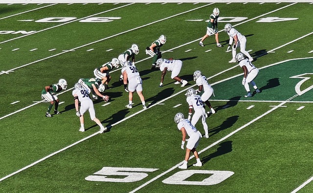 将为他们在 将为他们在