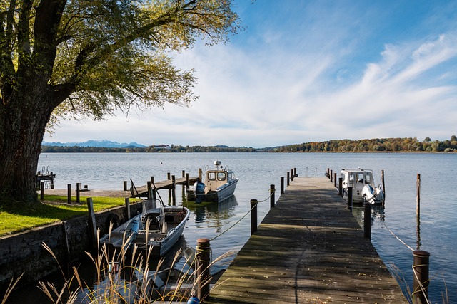 中熠熠生辉 中熠熠生辉