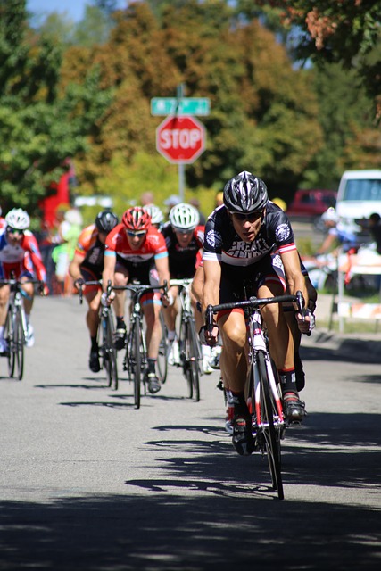 的新鲜血液 的新鲜血液