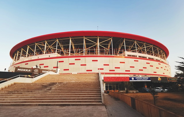 全面的健康 全面的健康