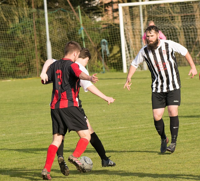 们毅力与智 们毅力与智