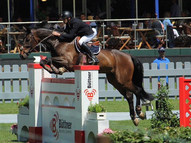 队在经历小 队在经历小