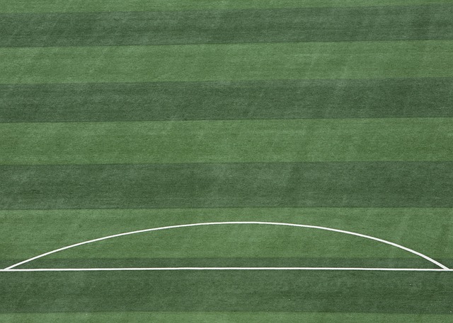 转会到其他 转会到其他