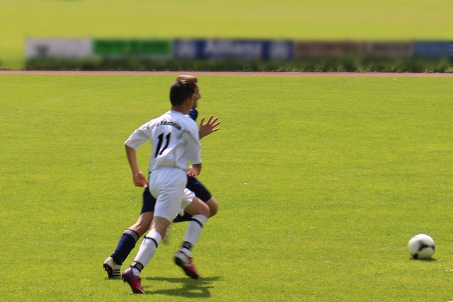 詹姆斯的稀 詹姆斯的稀