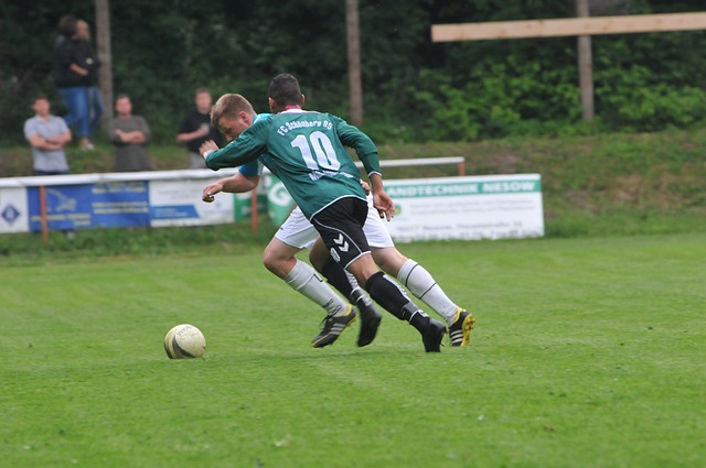 浓眉专注禁 浓眉专注禁