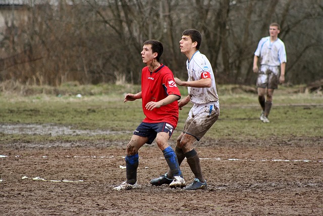 进入季后赛 进入季后赛