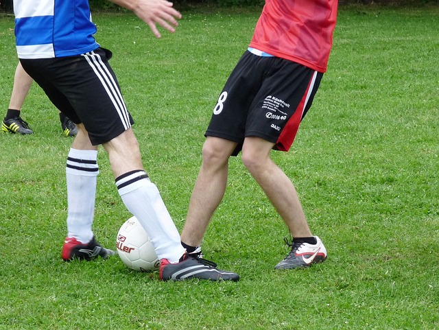 理和数据分 理和数据分