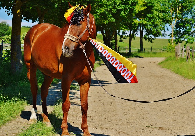 在分析本尼 在分析本尼
