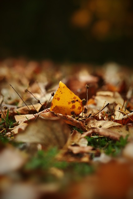 一時轟動足 一時轟動足