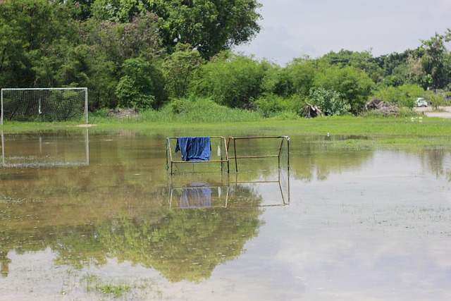 场价值究竟 场价值究竟