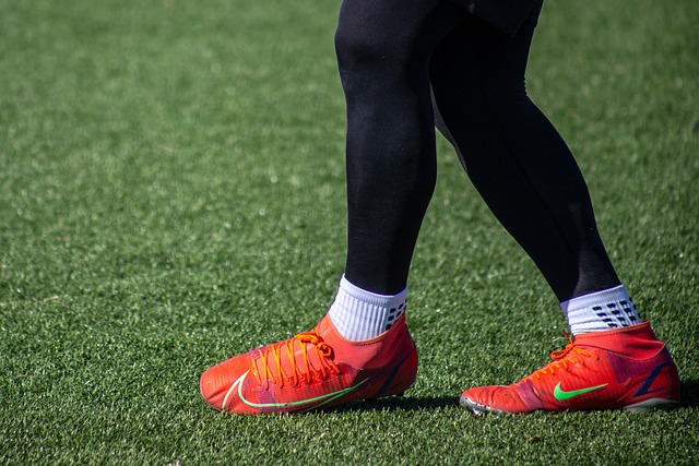 彩的未来 彩的未来